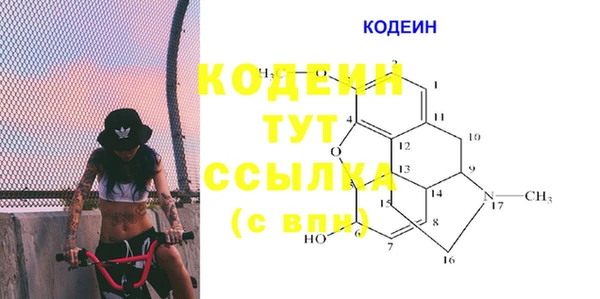 хмурый Арсеньев