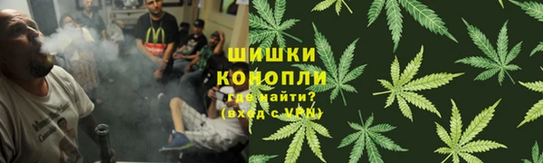 хмурый Арсеньев