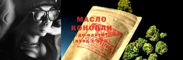 хмурый Арсеньев
