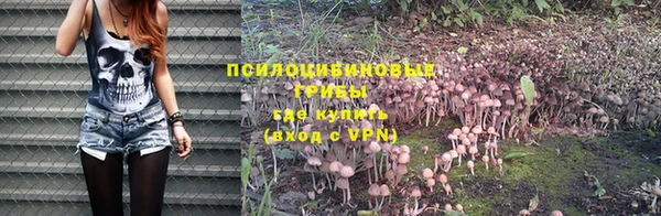 хмурый Арсеньев
