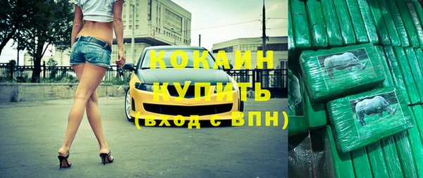 хмурый Арсеньев
